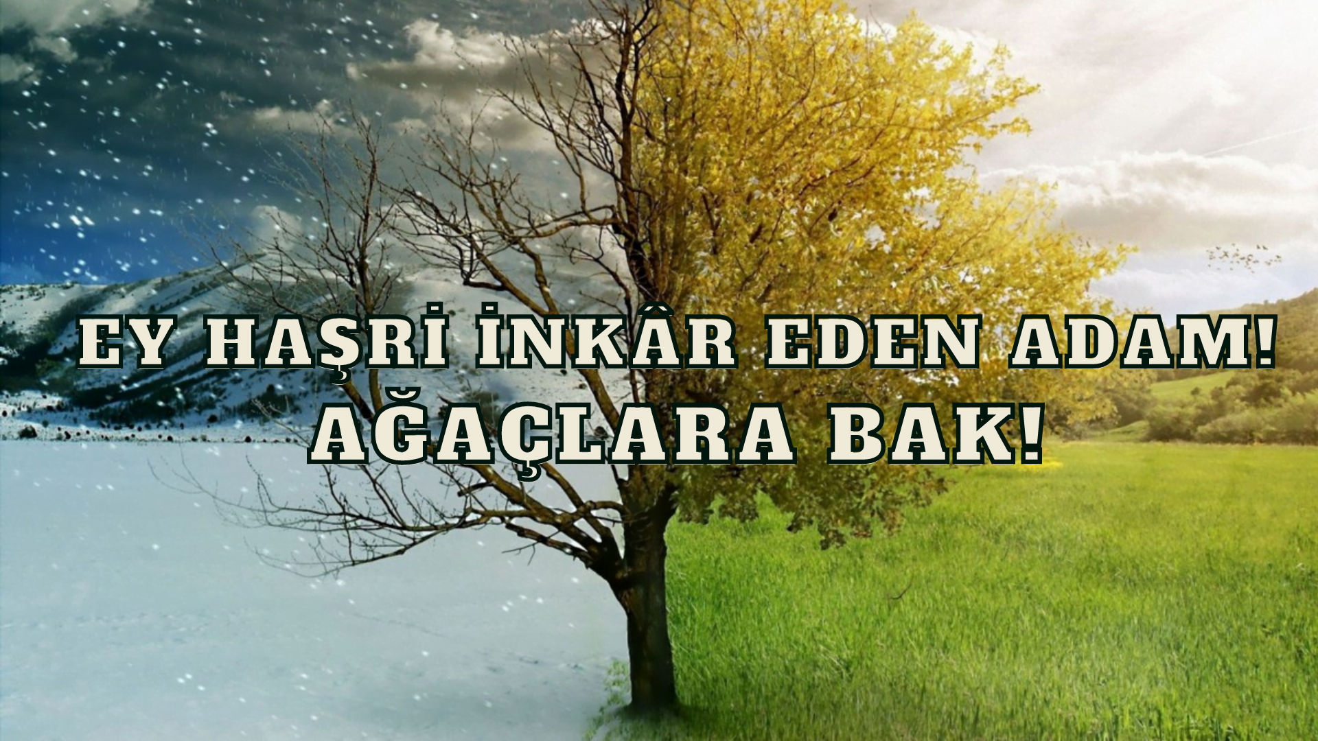 Ey haşri inkâr eden adam! Ağaçlara bak!