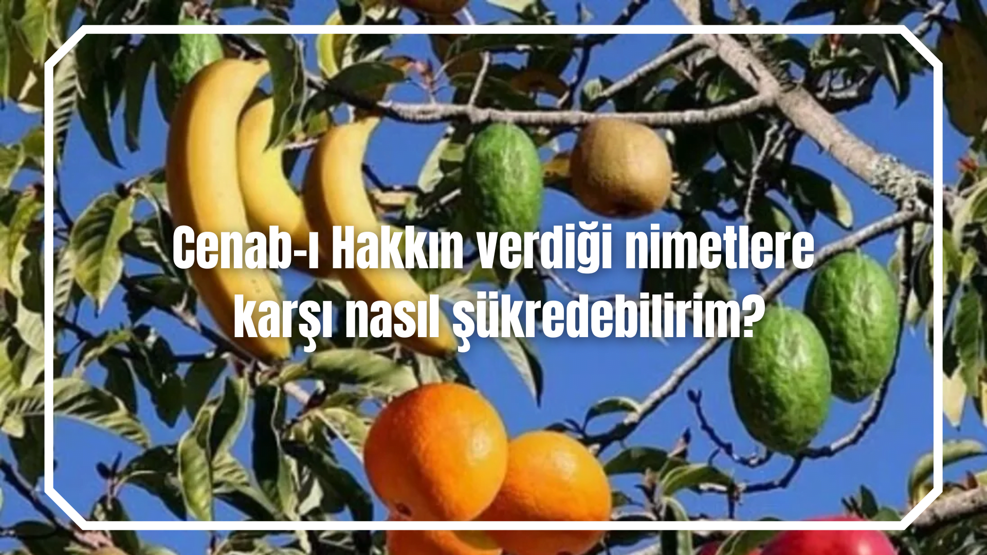 Cenab-ı Hakkın verdiği nimetlere karşı nasıl şükredebilirim?