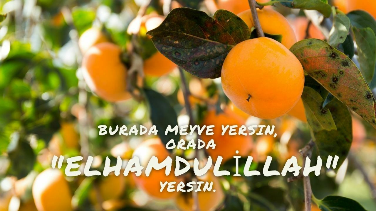 Burada meyve yersin, orada “Elhamdülillah” yersin!