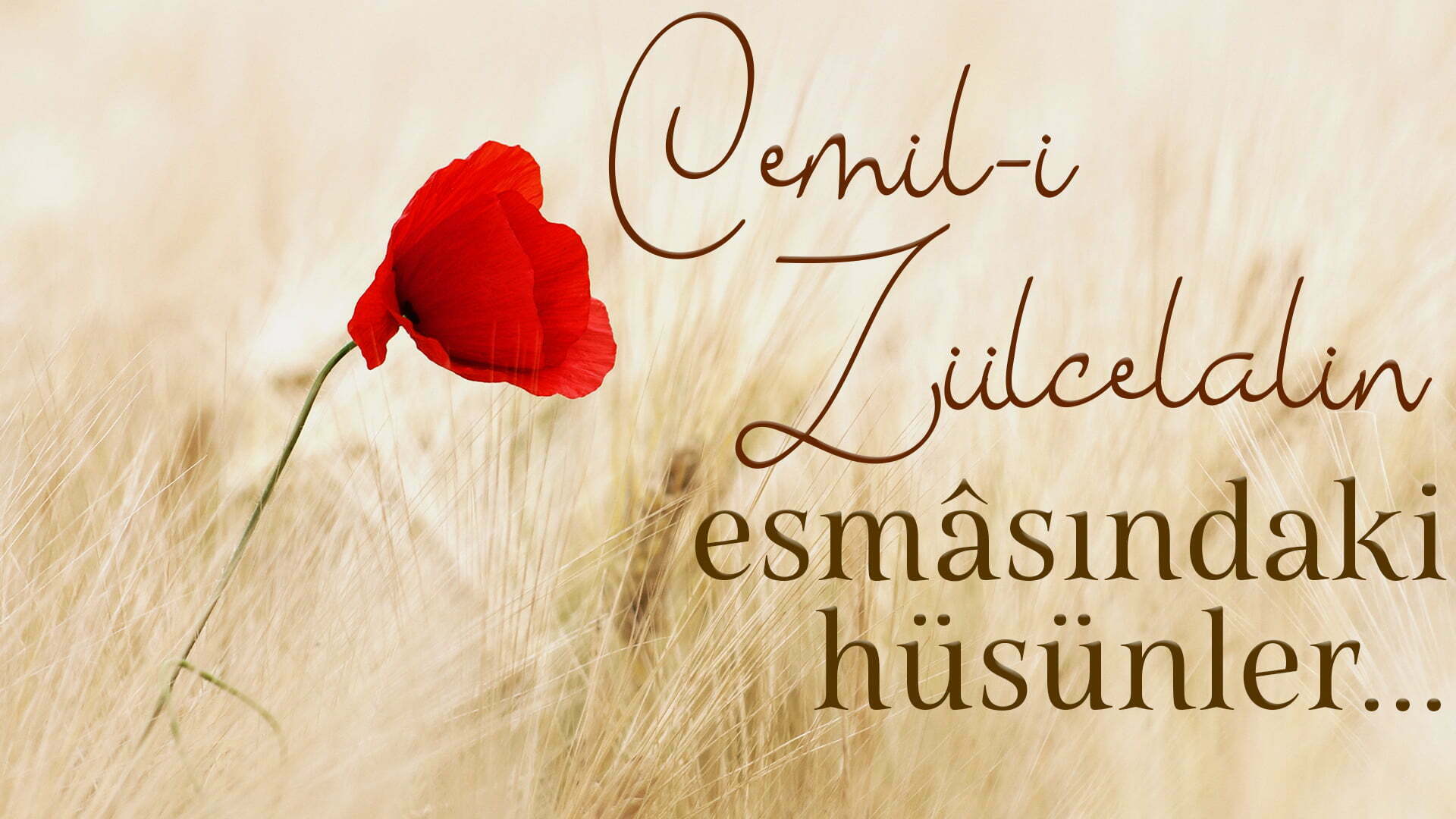 Eğer Cemîl-i Zülcelâlin esmâsındaki hüsünleri…